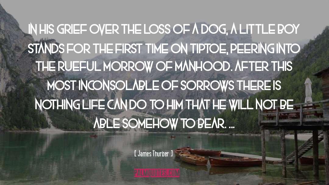 Grieving The Loss Of A Dog quotes by James Thurber