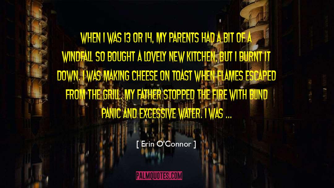 Grill quotes by Erin O'Connor