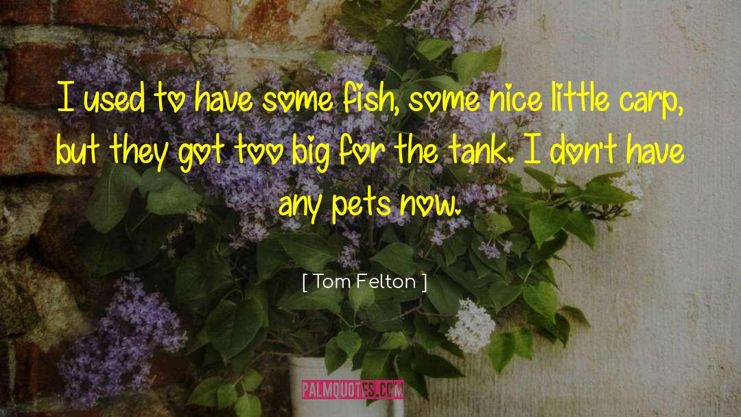 Grilled Fish quotes by Tom Felton