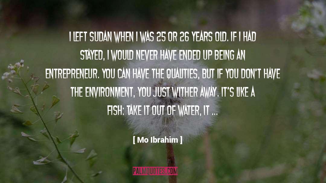 Grilled Fish quotes by Mo Ibrahim