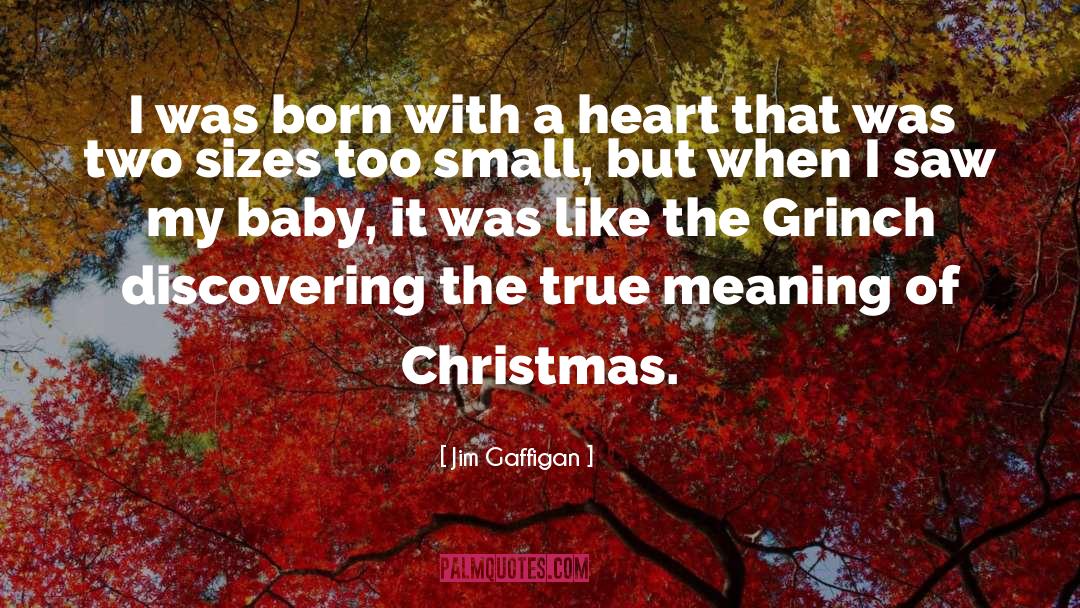 Grinch quotes by Jim Gaffigan