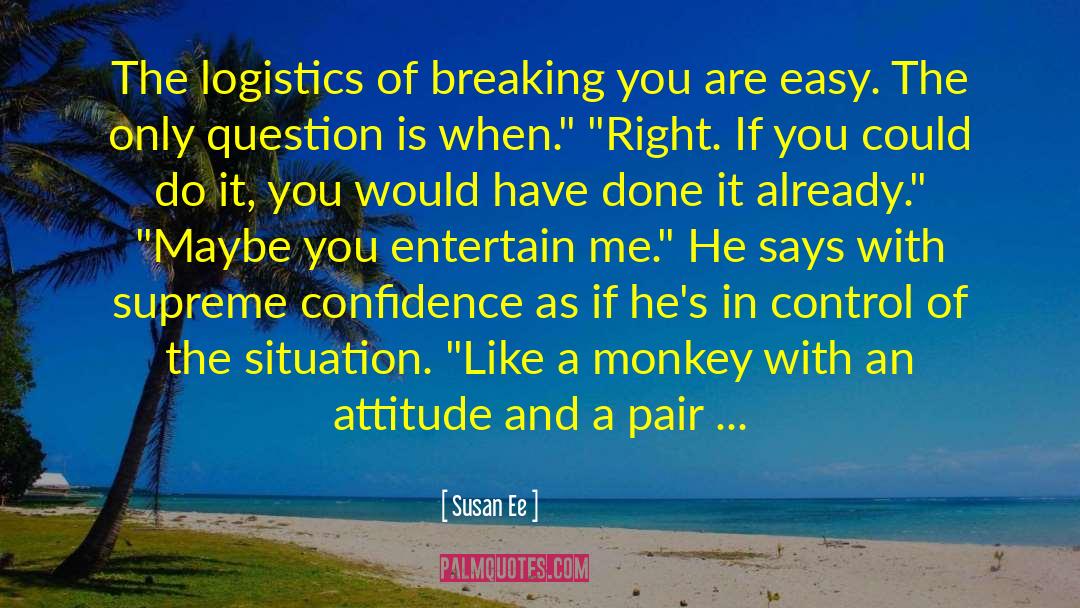 Grinning Attitude quotes by Susan Ee