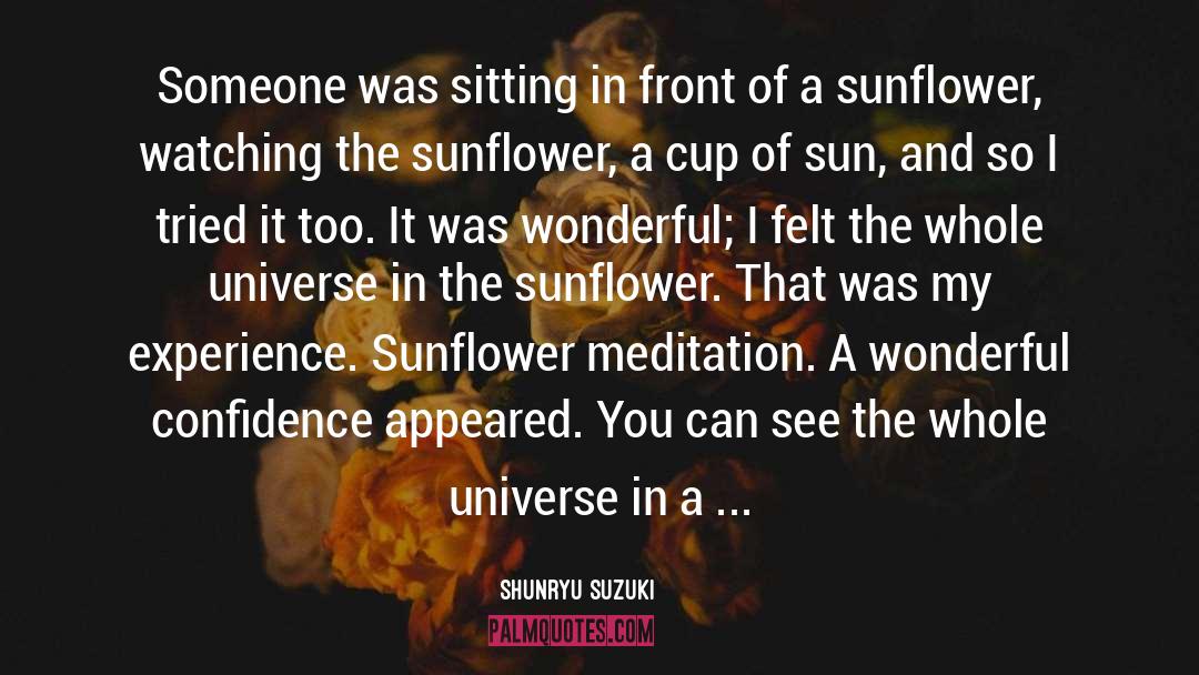Grinters Sunflower quotes by Shunryu Suzuki