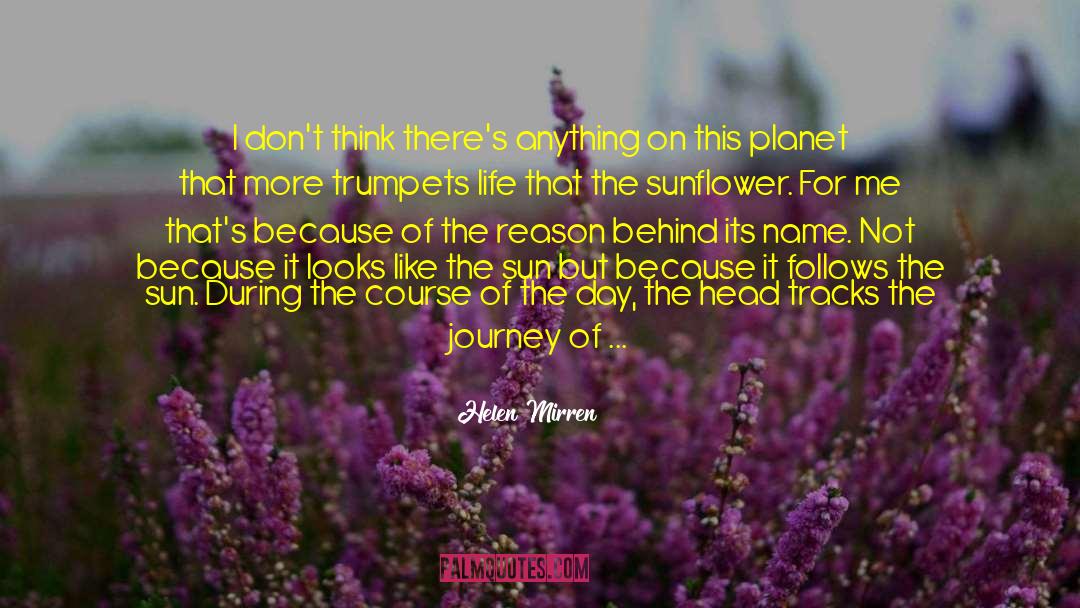 Grinters Sunflower quotes by Helen Mirren