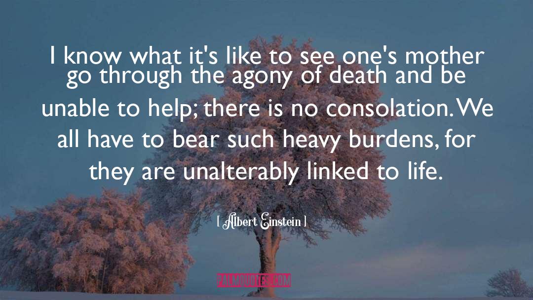 Grizzly Bears quotes by Albert Einstein