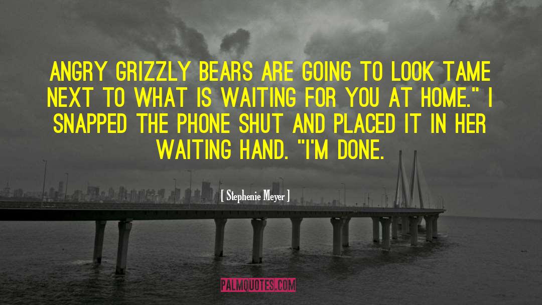 Grizzly Bears quotes by Stephenie Meyer