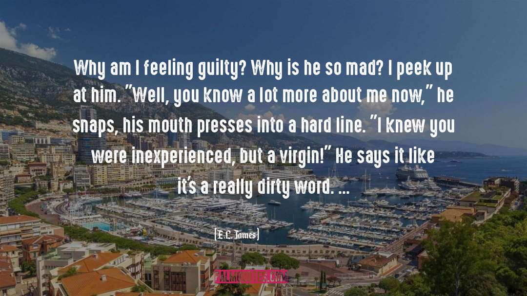 Groans quotes by E.L. James