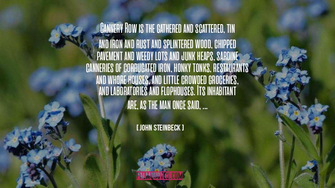 Groceries quotes by John Steinbeck