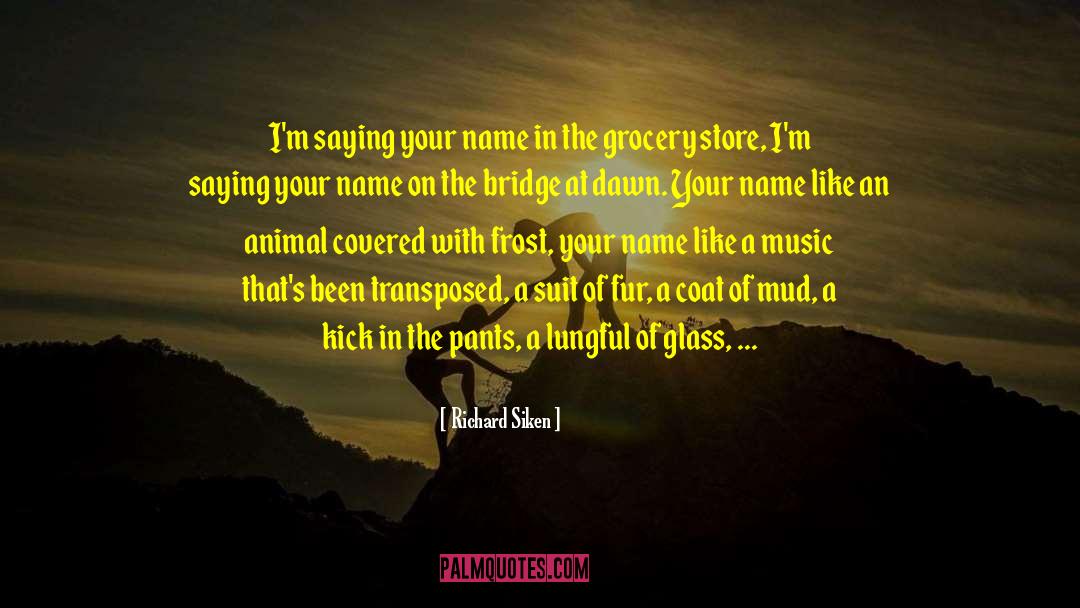 Groceries quotes by Richard Siken