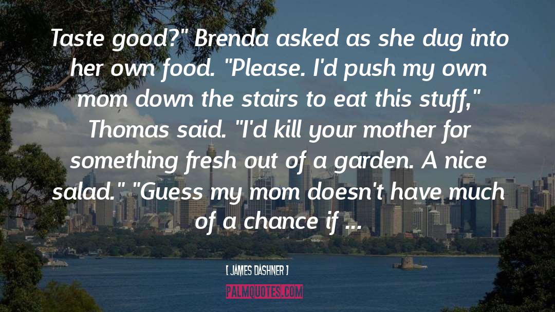 Grocery Store quotes by James Dashner