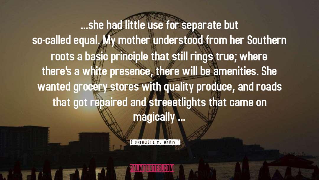 Grocery Stores quotes by Bridgett M. Davis