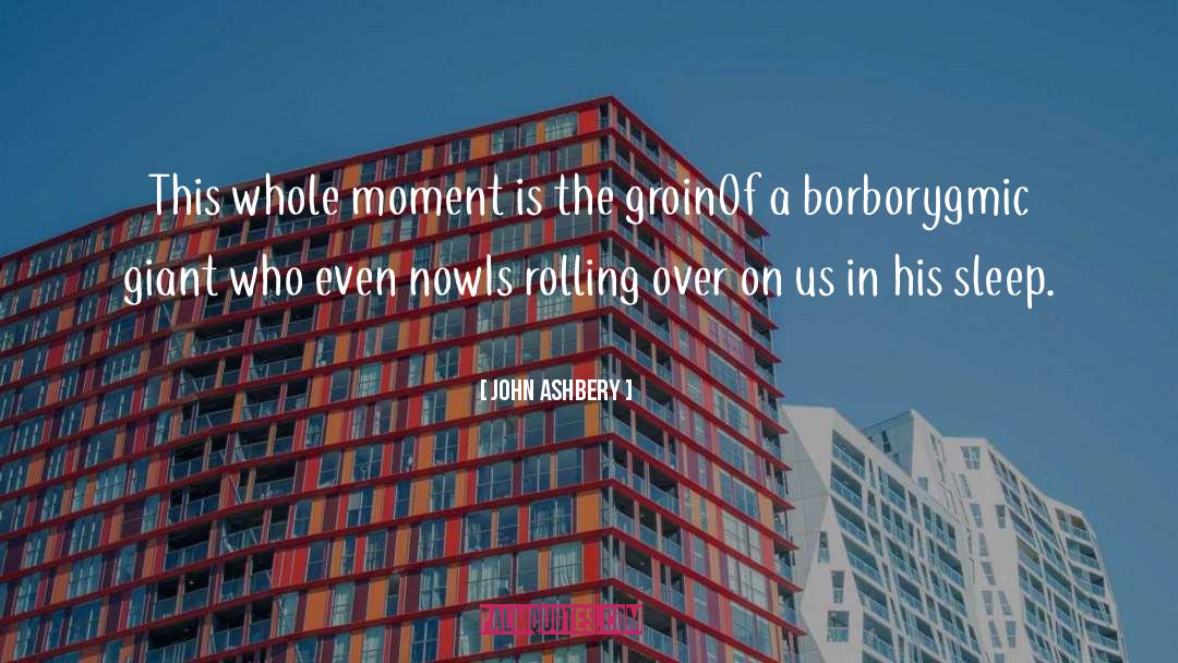 Groin quotes by John Ashbery