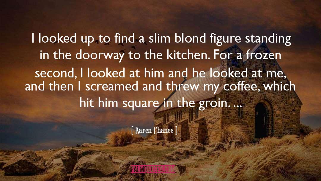 Groin quotes by Karen Chance