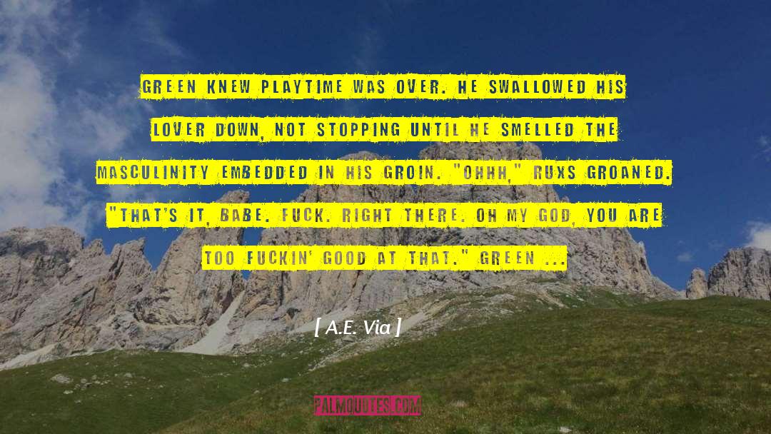 Groin quotes by A.E. Via