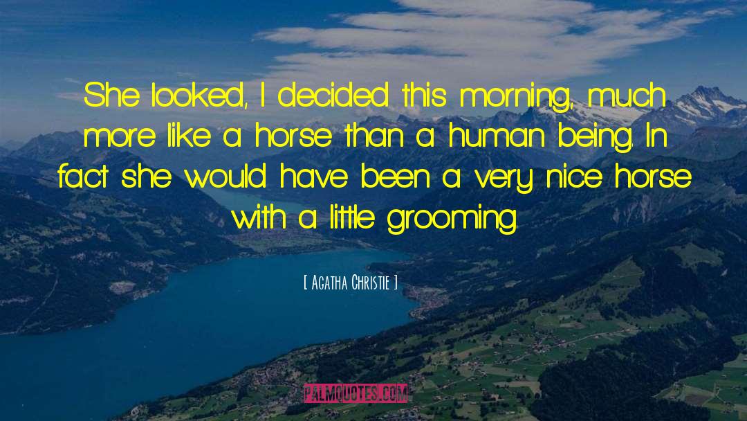 Grooming quotes by Agatha Christie