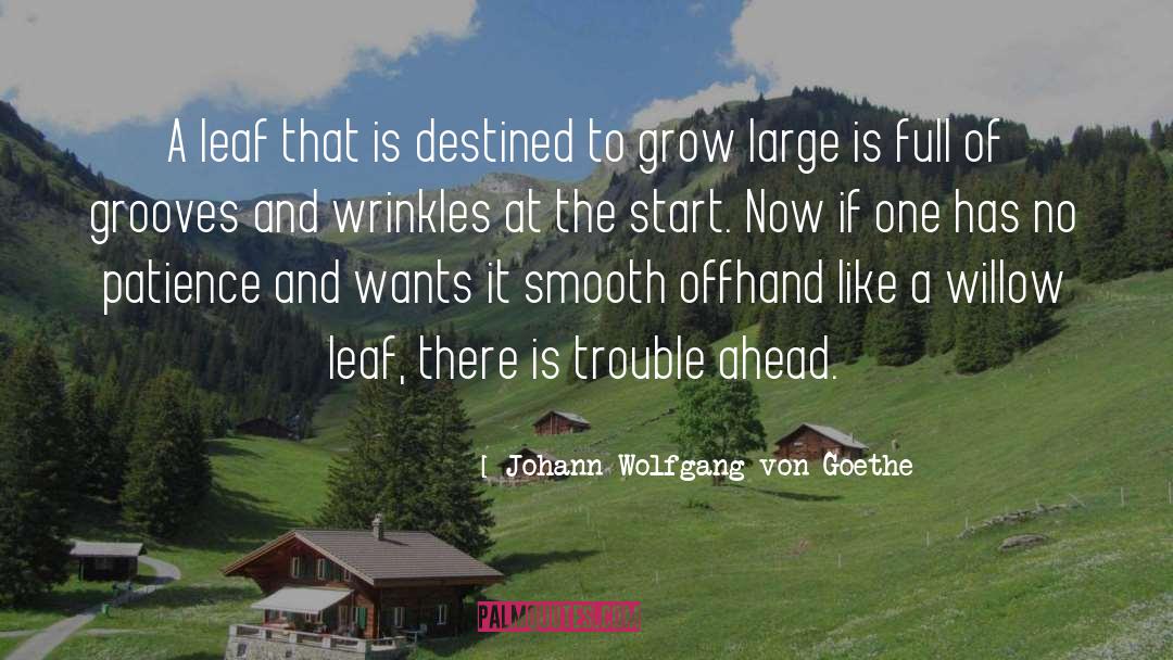 Groove quotes by Johann Wolfgang Von Goethe