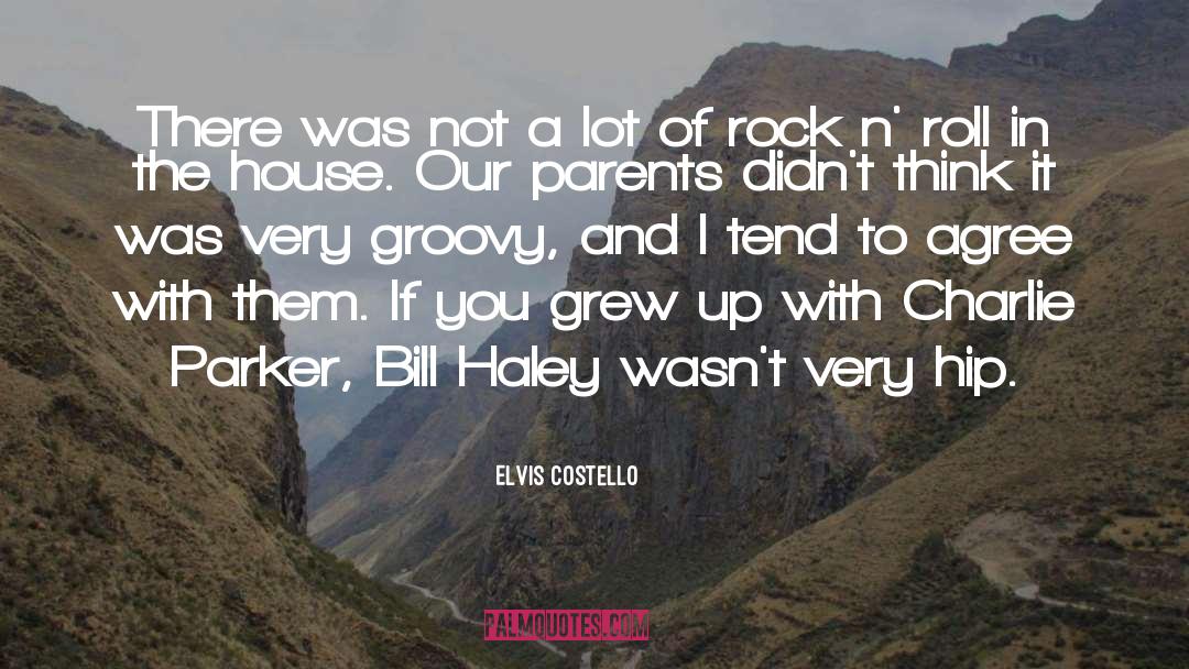 Groovy quotes by Elvis Costello