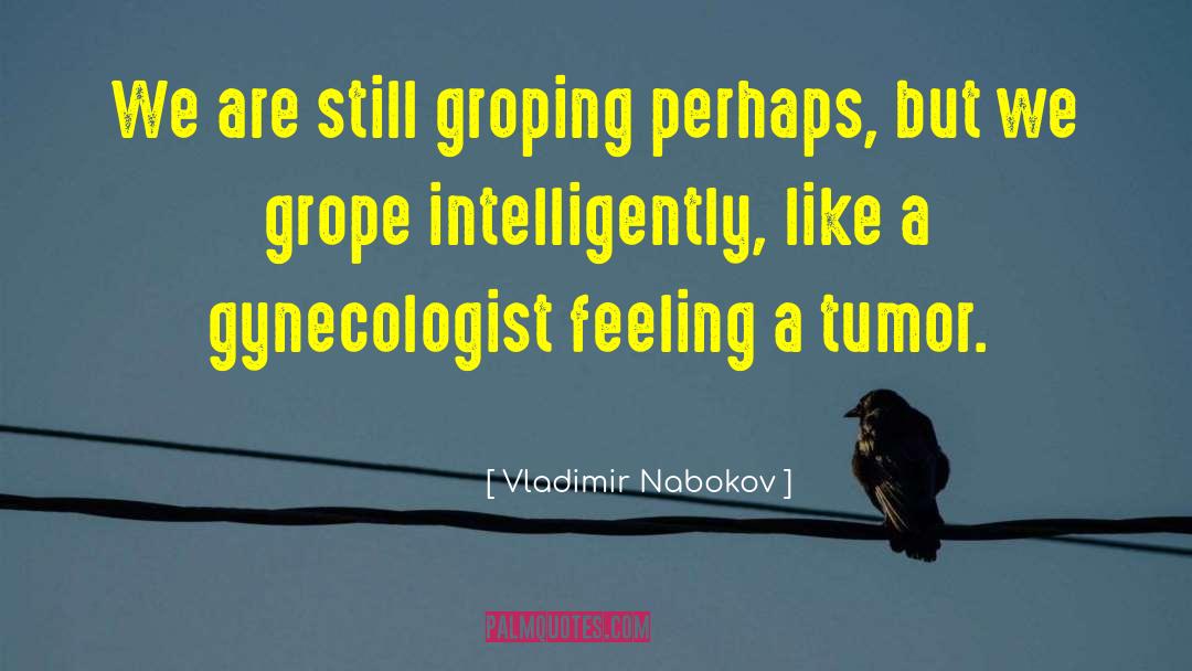 Grope quotes by Vladimir Nabokov