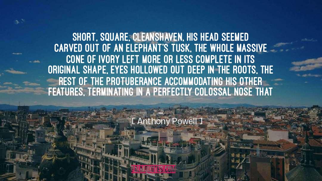Grotesque Nose quotes by Anthony Powell