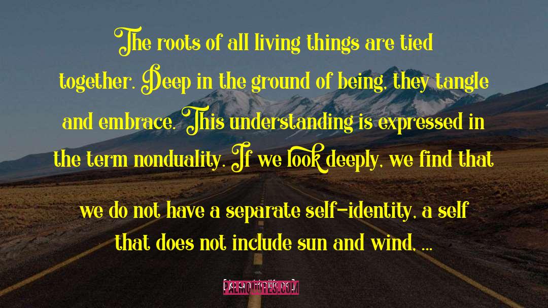 Ground Of Being quotes by Joan Halifax