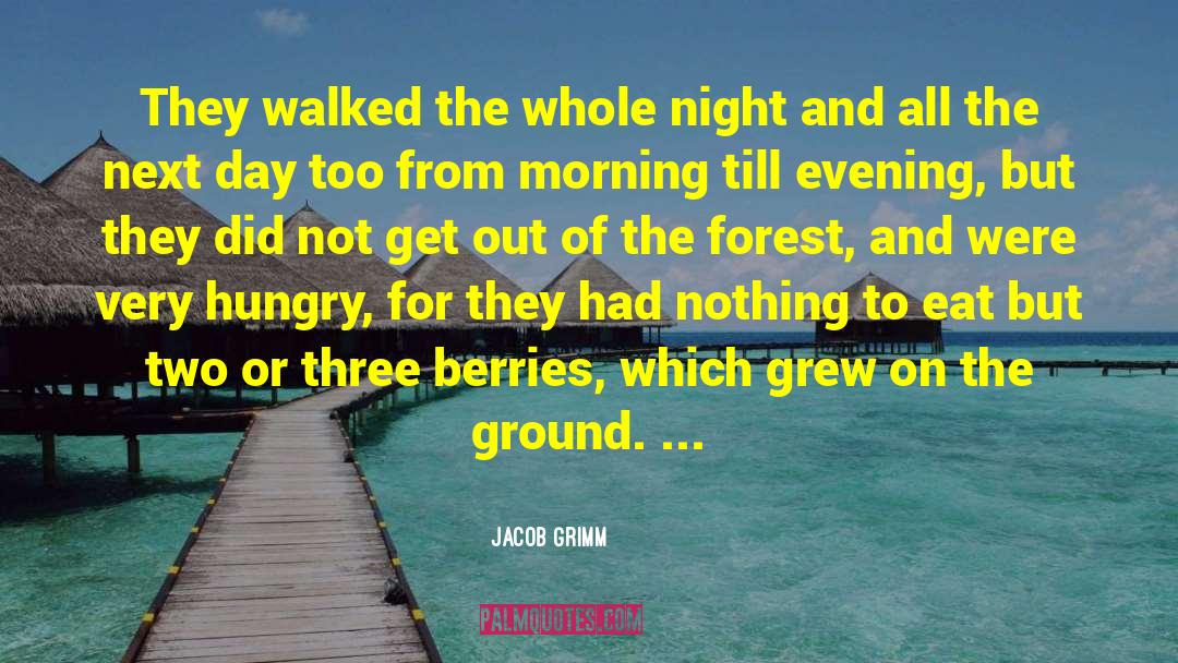 Ground Of Opportunity quotes by Jacob Grimm