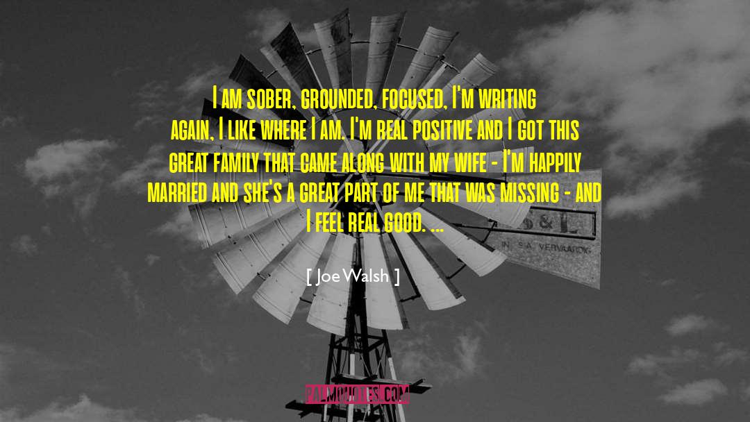 Grounded quotes by Joe Walsh