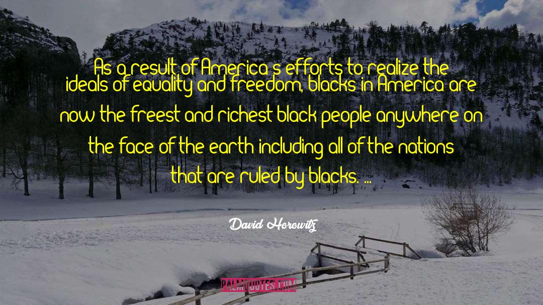 Group Efforts quotes by David Horowitz