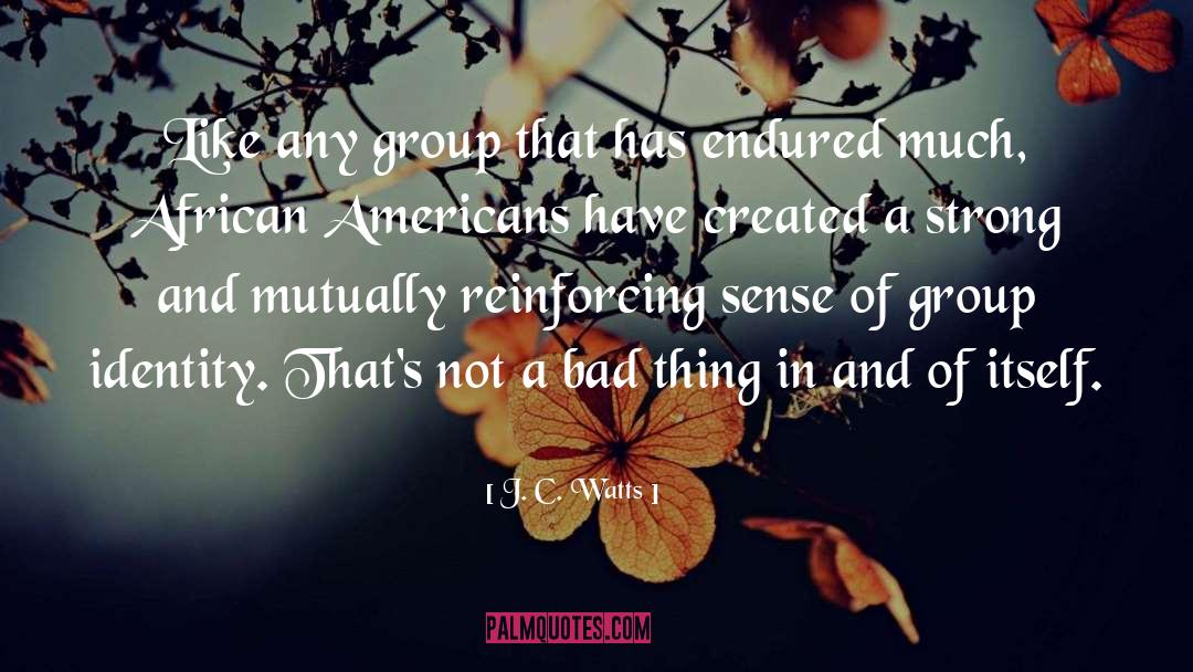 Group Identity quotes by J. C. Watts