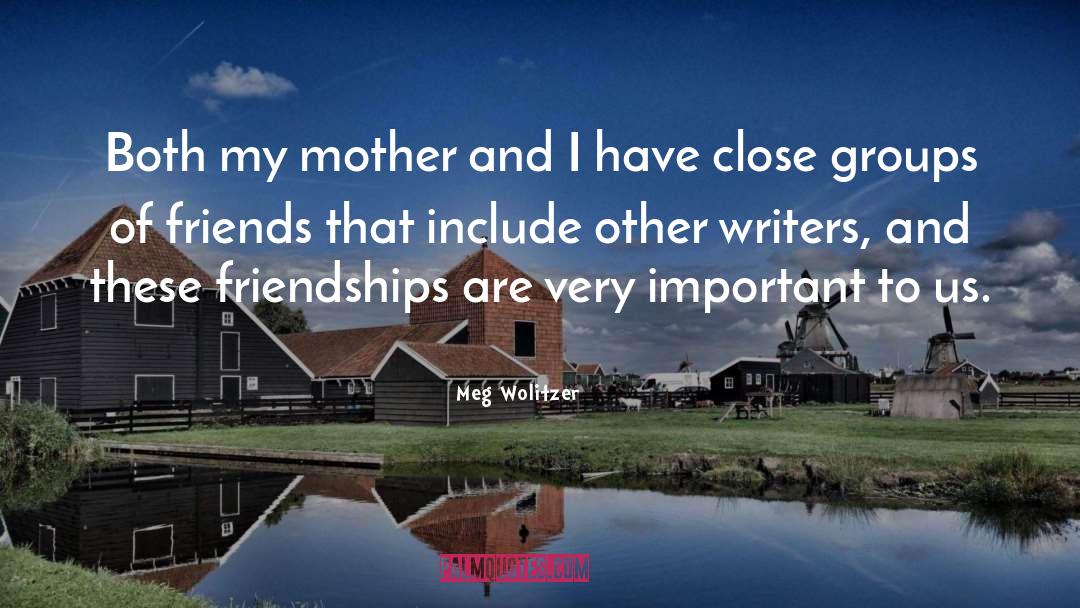 Group Of Friends quotes by Meg Wolitzer