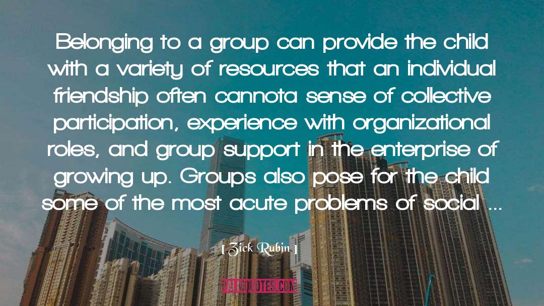 Group Support quotes by Zick Rubin