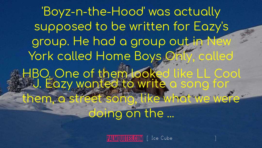 Group Theory quotes by Ice Cube