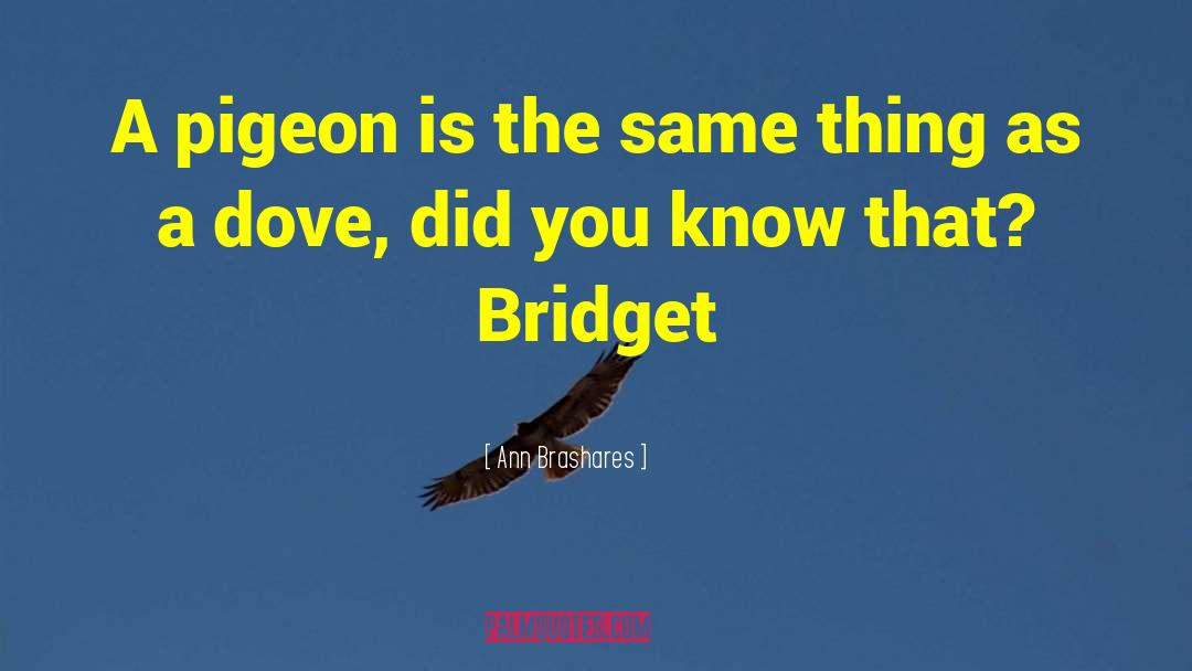 Groused Pigeon quotes by Ann Brashares