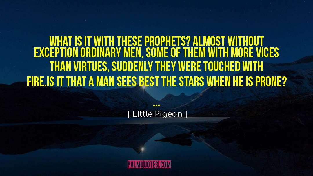 Groused Pigeon quotes by Little Pigeon