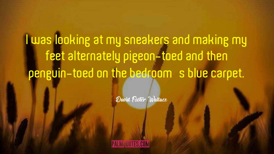Groused Pigeon quotes by David Foster Wallace