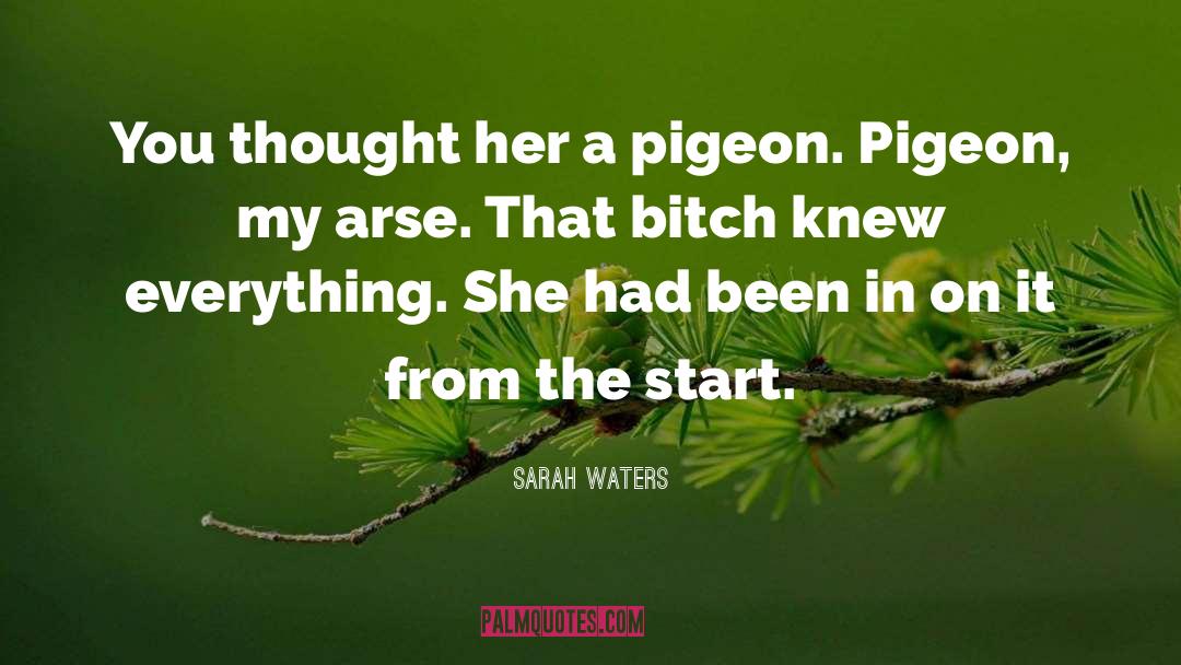 Groused Pigeon quotes by Sarah Waters