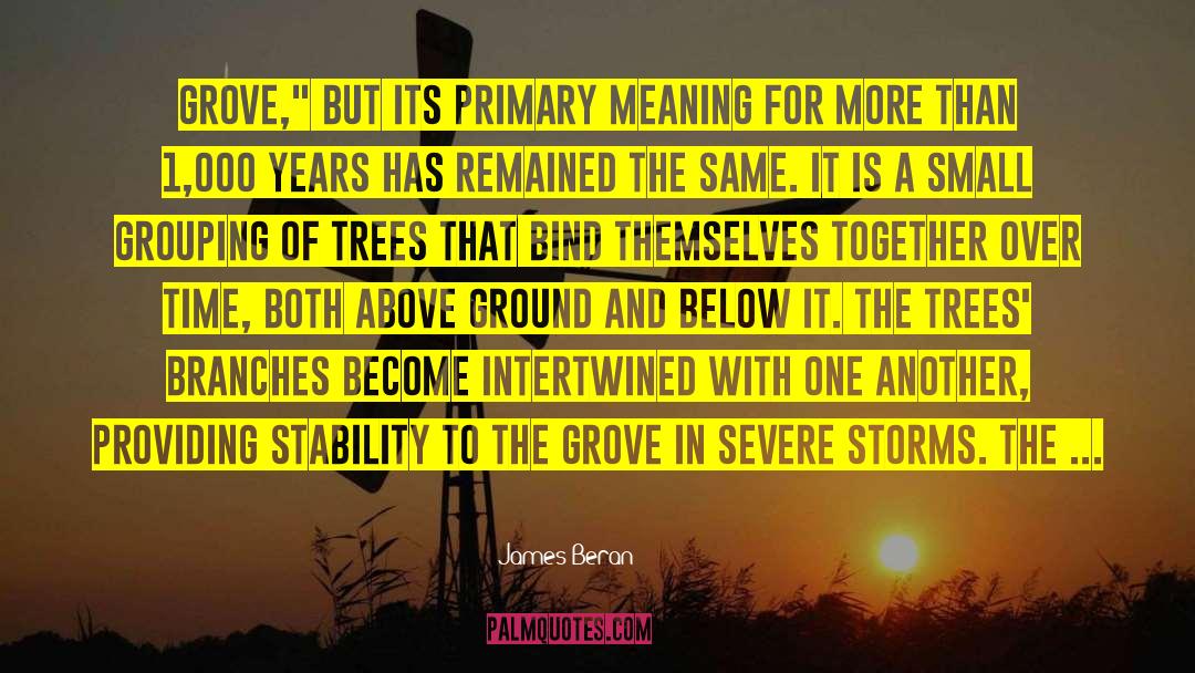 Grove quotes by James Beran