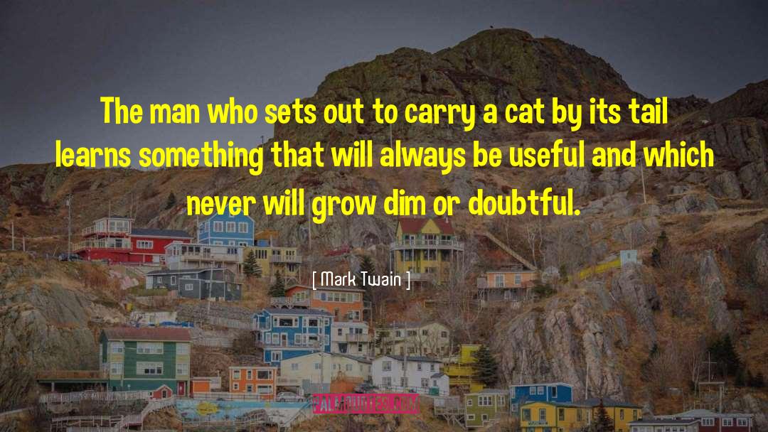 Grow Dim quotes by Mark Twain