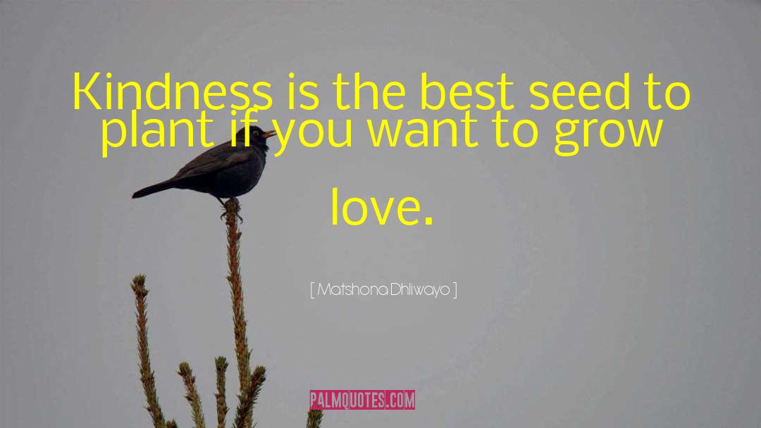 Grow Love quotes by Matshona Dhliwayo