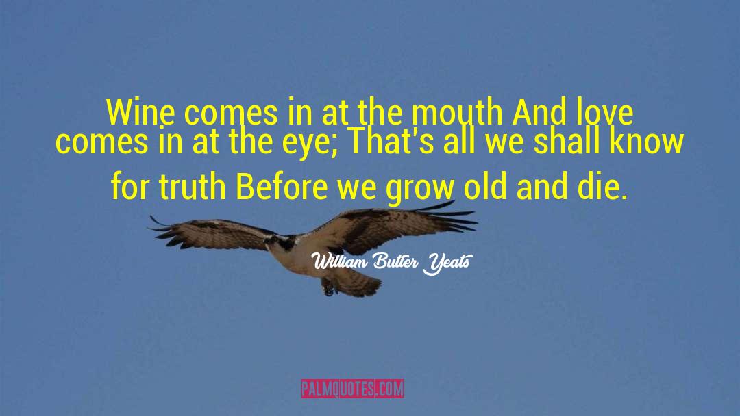 Grow Old quotes by William Butler Yeats