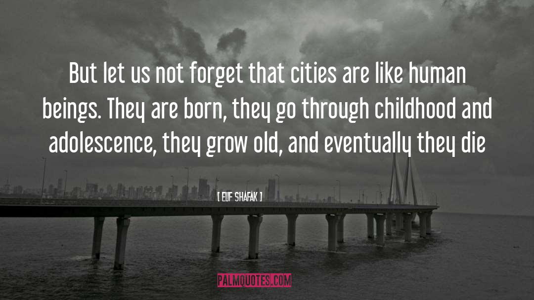 Grow Old quotes by Elif Shafak