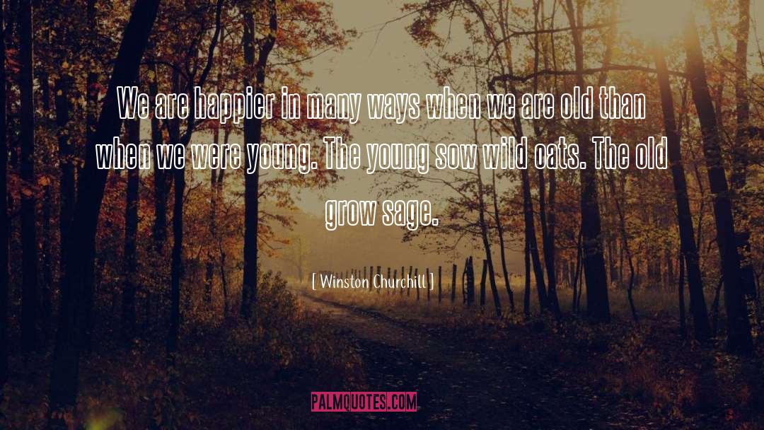 Grow Rich quotes by Winston Churchill