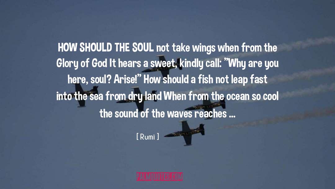 Grow Wings To Fly quotes by Rumi