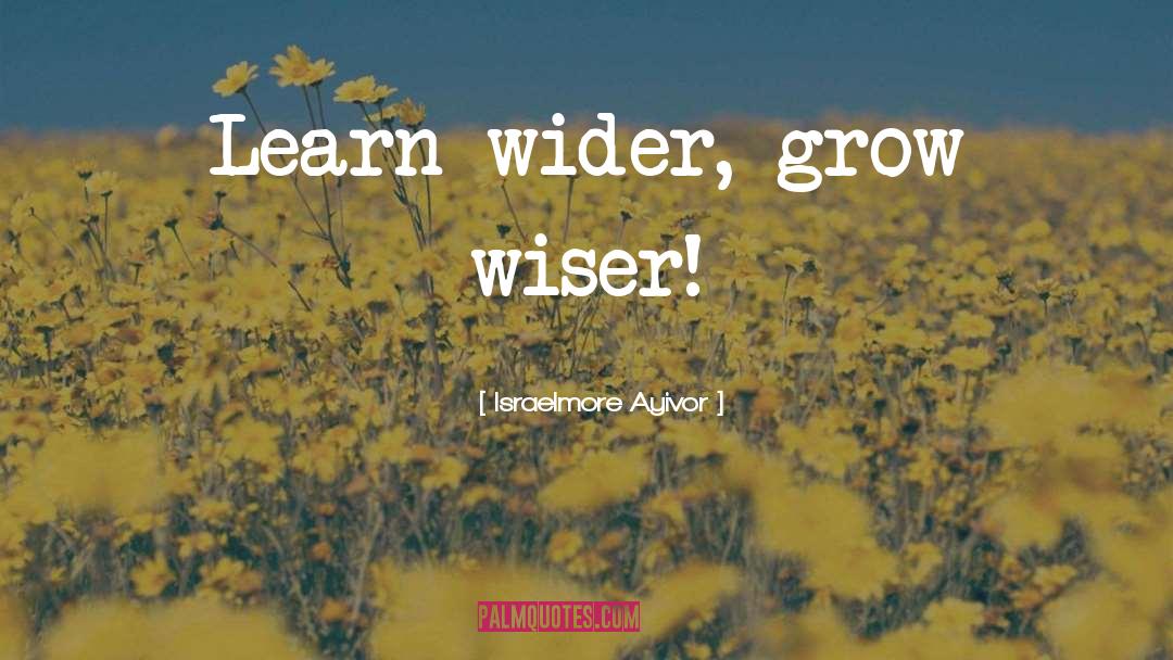 Grow Wiser quotes by Israelmore Ayivor