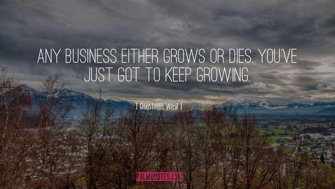 Growing Business quotes by Christoffel Wiese