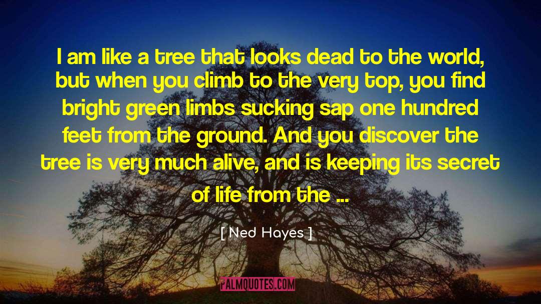 Growing Like A Tree quotes by Ned Hayes