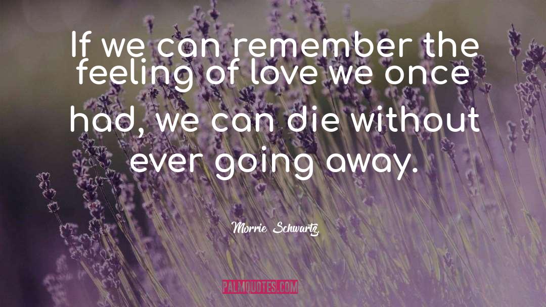 Growing Love quotes by Morrie Schwartz.