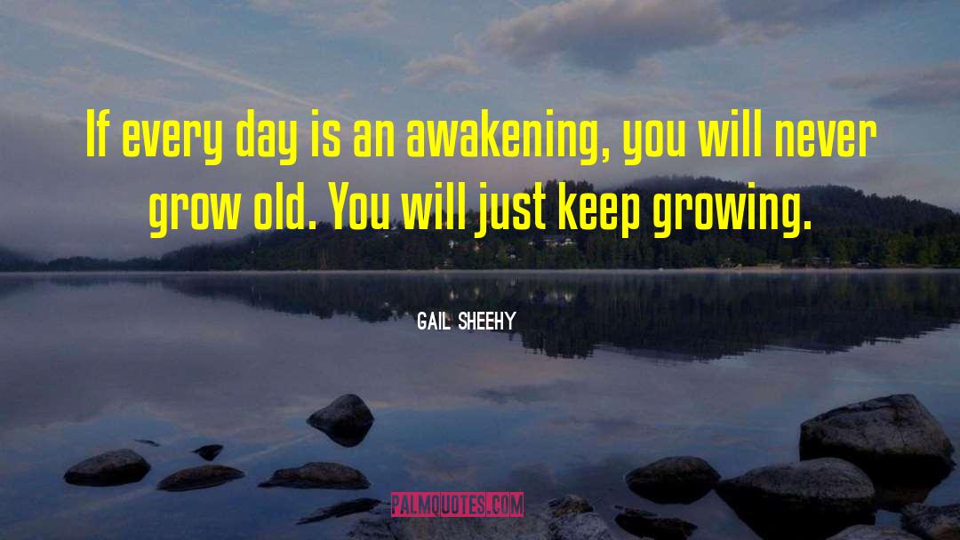 Growing Old Gracefully quotes by Gail Sheehy