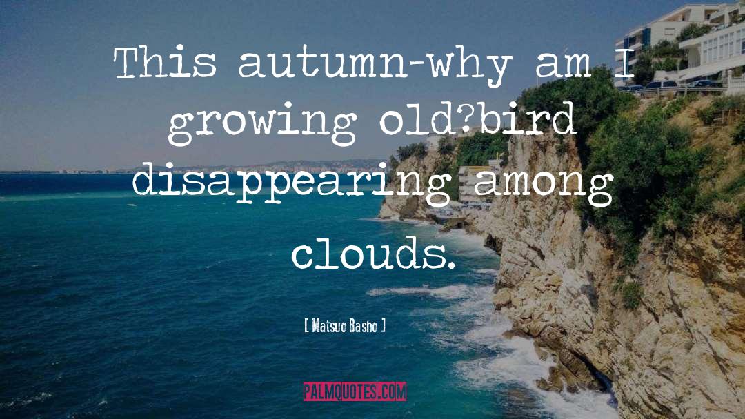 Growing Old quotes by Matsuo Basho