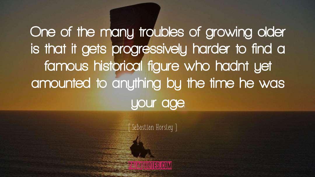 Growing Older quotes by Sebastian Horsley