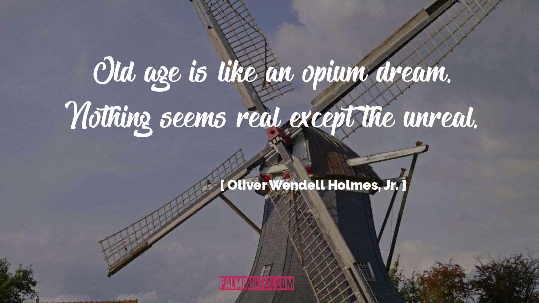 Growing Older quotes by Oliver Wendell Holmes, Jr.